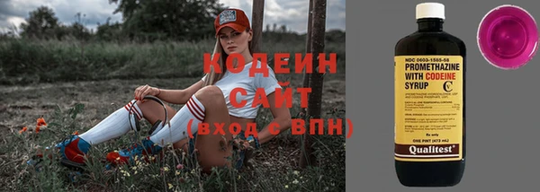 индика Магас