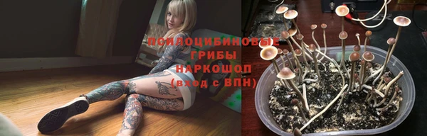 индика Магас