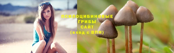 спайс Абинск