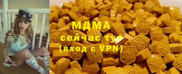 индика Магас