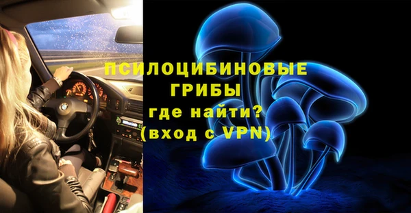 индика Магас