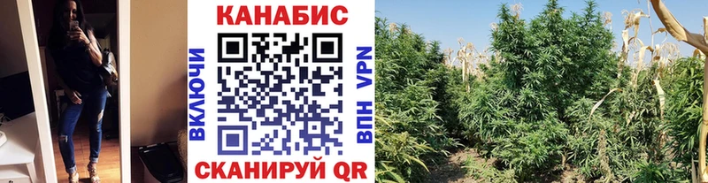 МАРИХУАНА конопля  это телеграм  Назрань 